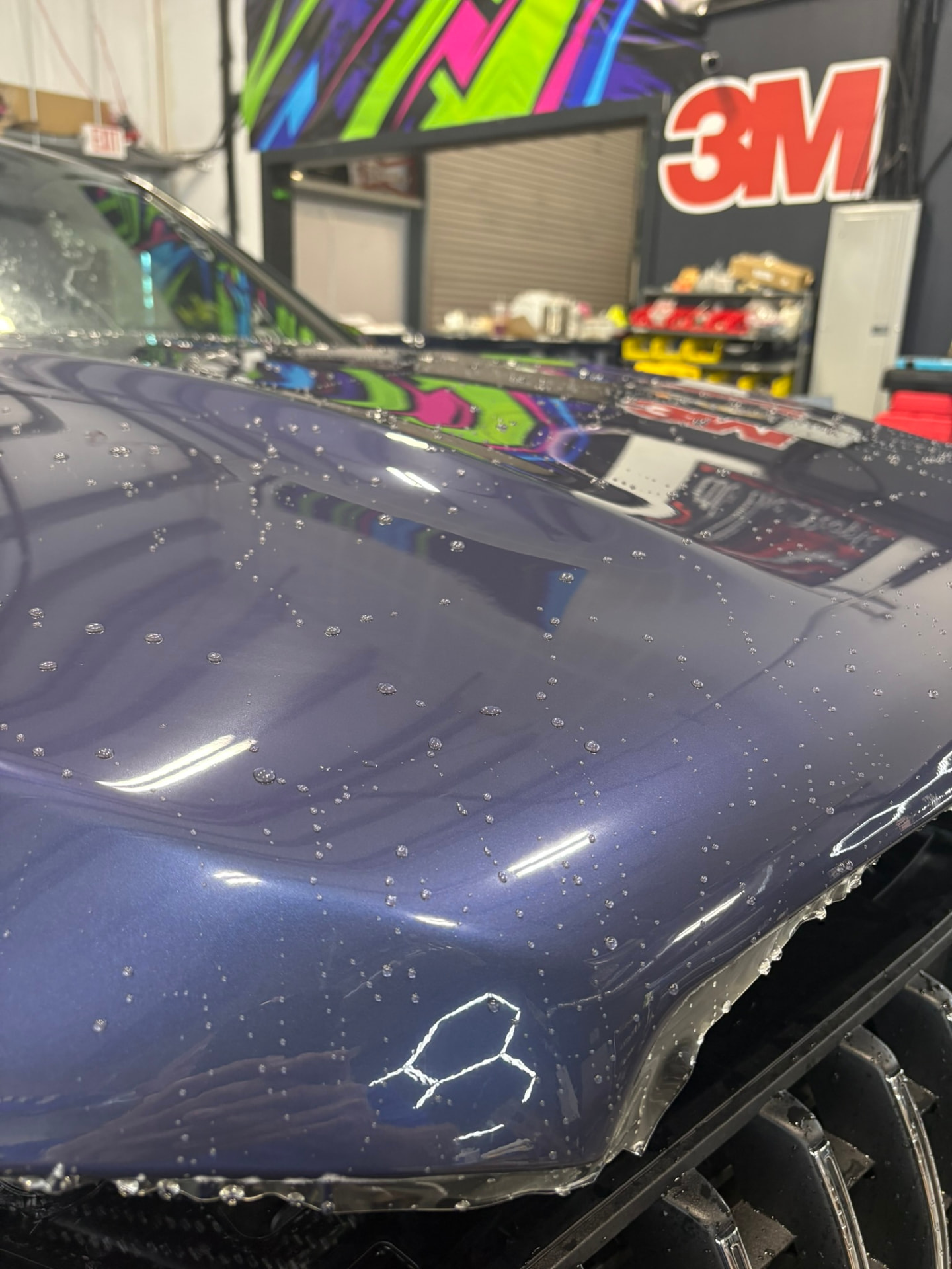 Water beading on a protected hood at LeWolf's 3M authorized shop in Magnolia, Texas