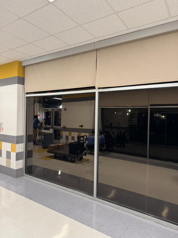 Commercial Security Window Film Magnolia