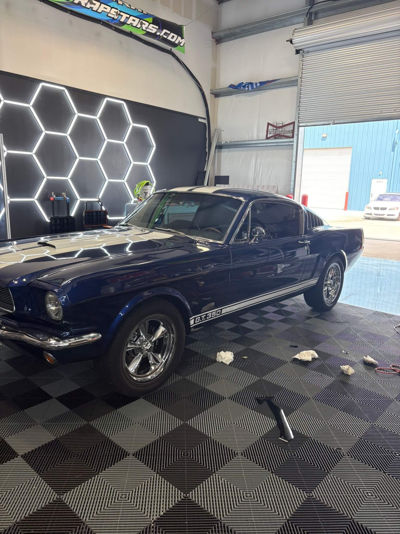LeWolf Window Tint - Magnolia - Auto Window Tint 10